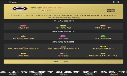 面对未来,如何选择中国数字货币钱包研发公司?