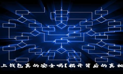 虚拟币上钱包真的安全吗?揭开背后的真相与风险