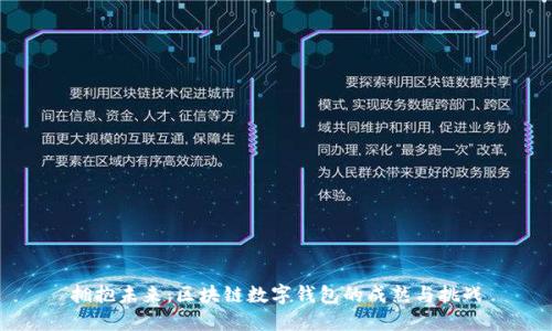 拥抱未来:区块链数字钱包的成熟与挑战