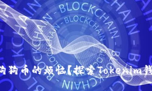 想要放弃存放狗狗币的烦恼？探索Tokenim钱包的真实宝藏！