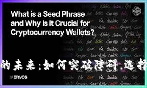 数字货币钱包的未来:如何突破障碍,选择最佳解决方案