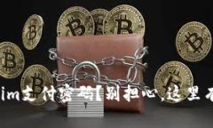 忘记Tokenim支付密码？别担