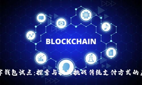 数字钱包试点:探索与挑战挑战传统支付方式的未来