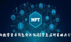 你的数字货币钱包突然倒