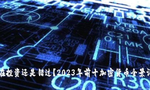 现在投资还是错过？2023年前十加密货币全景评析