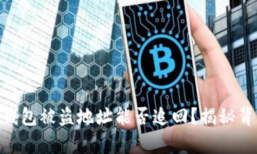 Tokenim钱包被盗地址能否追回?揭秘背后的真相