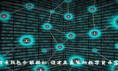 莱特币钱包余额揭秘:谁才是真正的数字货币富豪?