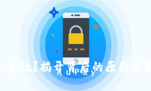 Tokenim失效?揭开背后的原因与解决方案