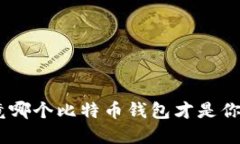 2023年，究竟哪个比特币钱