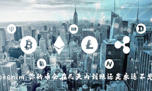 Tokenim:你的币会在几天内到账还是永远不见?