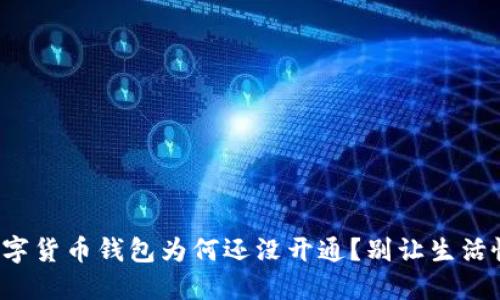 你的数字货币钱包为何还没开通?别让生活慢下来!