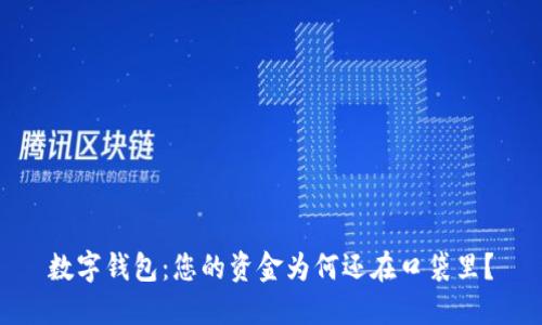 数字钱包:您的资金为何还在口袋里?