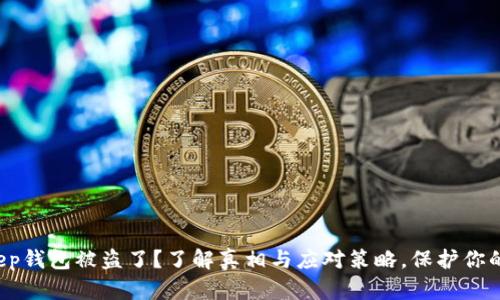 你的Bitkeep钱包被盗了？了解真相与应对策略，保护你的数字资产！