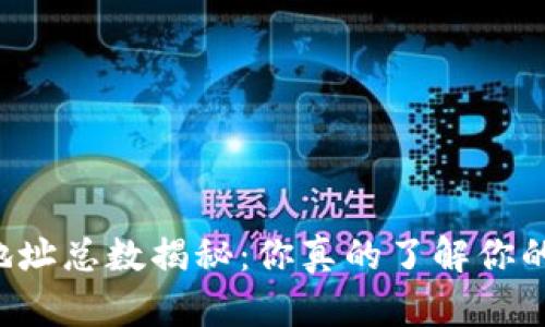 莱特币钱包地址总数揭秘:你真的了解你的数字资产吗?