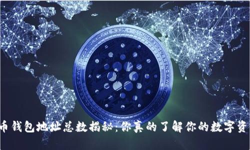 莱特币钱包地址总数揭秘:你真的了解你的数字资产吗?