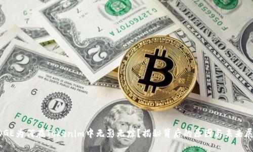 DOGE为何在Tokenim中无影无踪?揭秘背后的原因与未来展望