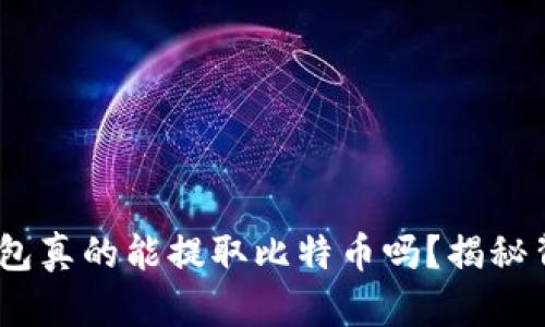 Tokenim钱包真的能提取比特币吗?揭秘背后的秘密!