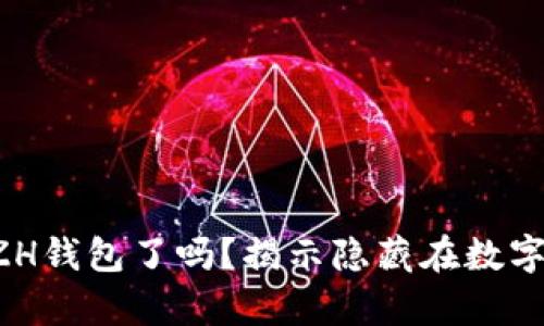 你真的了解你的ZH钱包了吗?揭示隐藏在数字资产背后的真相!