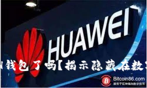 你真的了解你的ZH钱包了吗?揭示隐藏在数字资产背后的真相!