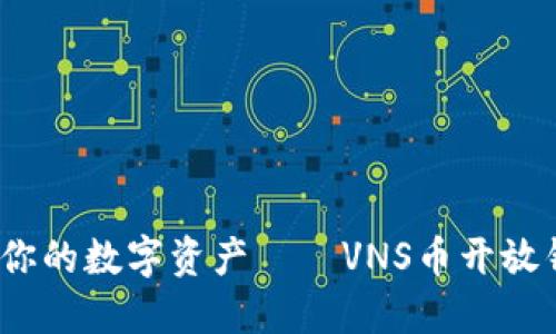 突破限制,掌控你的数字资产——VNS币开放钱包的全面指南