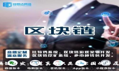 揭秘区块链开发:难道真的只是技术圈的专属守门人?