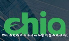 你还在为找不到合适的加