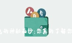 破解区块链钱包的神秘面