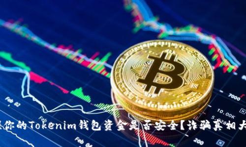警惕!你的Tokenim钱包资金是否安全?诈骗真相大揭秘