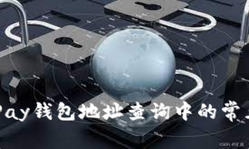 如何应对OKPay钱包地址查询中的常见挑战与误区