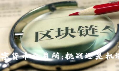 数字货币交易所:挑战还是机遇?
