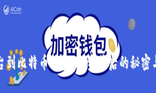 从平台到比特币钱包:投资背后的秘密与挑战