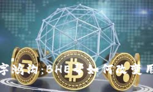 打破数字鸿沟:BHE帮如何改变用户体验
