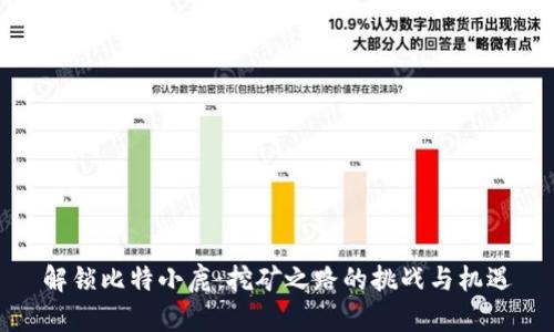 解锁比特小鹿：挖矿之路的挑战与机遇