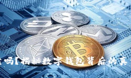 钱包加加可靠吗？揭秘数字钱包背后的真相与潜在风险