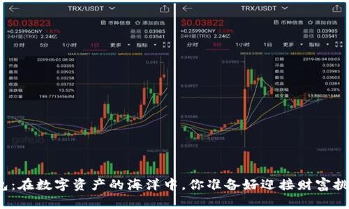 糖果钱包:在数字资产的海洋中,你准备好迎接财富挑战了吗?
