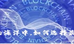 在数字货币的海洋中，如