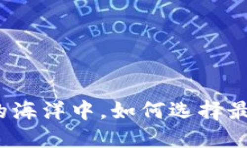 在数字货币的海洋中,如何选择最安全的钱包?
