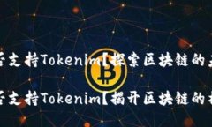 火池能否支持Tokenim？探索