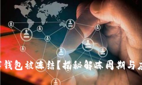 你的数字钱包被冻结?揭秘解冻周期与应对策略!