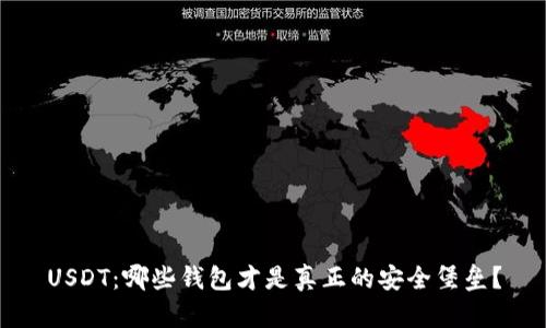 USDT:哪些钱包才是真正的安全堡垒?