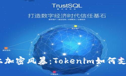当传统投资遇上加密风暴:Tokenim如何支持SHIB的崛起?