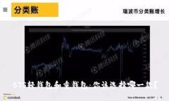 BTS轻钱包和重钱包：你该