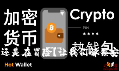 你的钱包安全，还是在冒险？让我们解锁安全资产的秘密！
