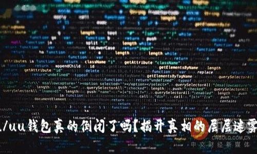 u/uu钱包真的倒闭了吗？揭开真相的层层迷雾！