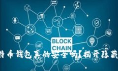 你的比特币钱包真的安全