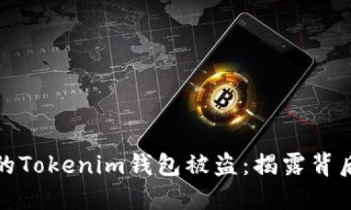 如何防止你的Tokenim钱包被盗：揭露背后的偷窃原理