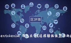 “丢失 tokentokenim 钱包文件