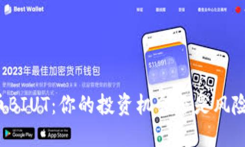 虚拟币BIUT：你的投资机会还是风险陷阱？