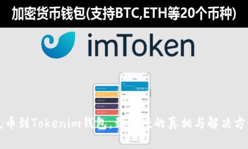 充币到Tokenim钱包，到账慢的真相与解决方案