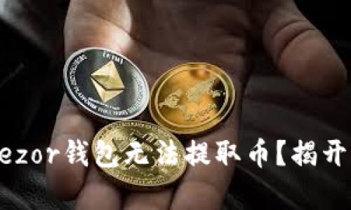 为何你的Trezor钱包无法提取币？揭开隐藏的真相！